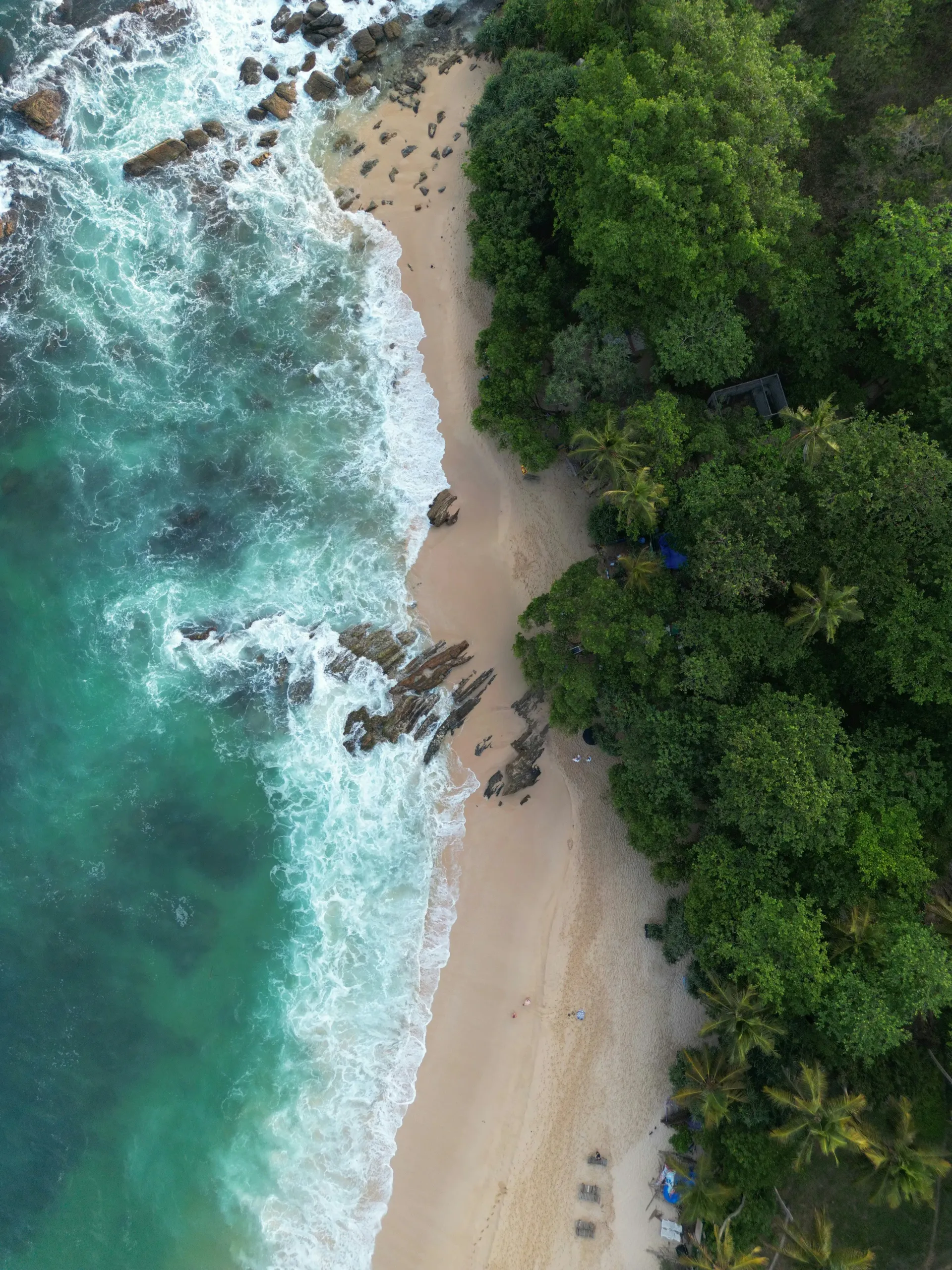 Private Tours in Sri Lanka